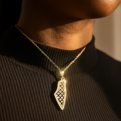 lot de fierté de Palestine